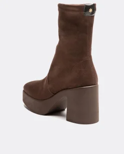 New Cuplé Botin Plataforma Ultrasuede Strech Marron